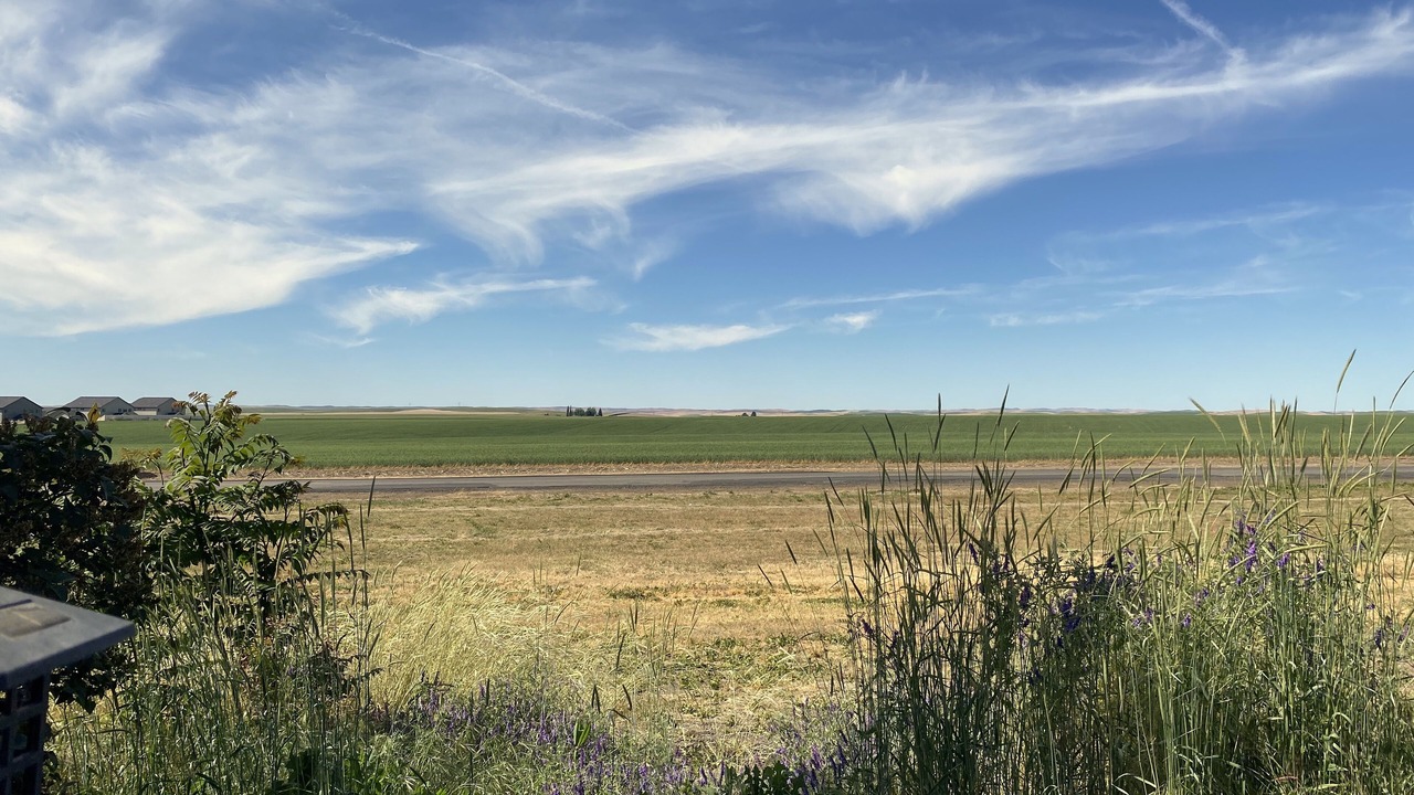 Photo of Others in Walla Walla