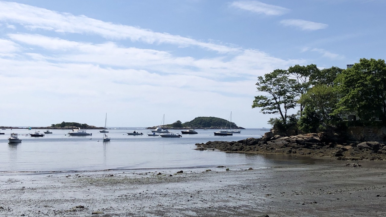 Photo of Others in Manchester-by-the-Sea