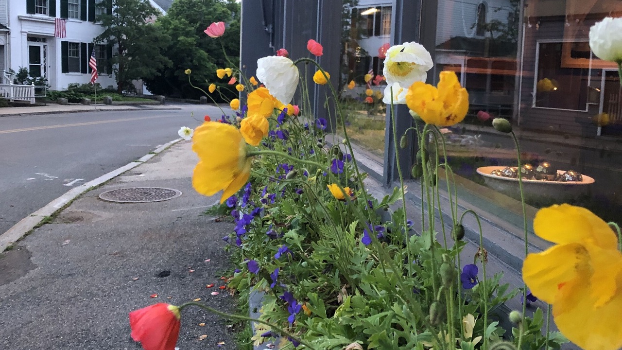 Photo of Outdoor in Manchester-by-the-Sea