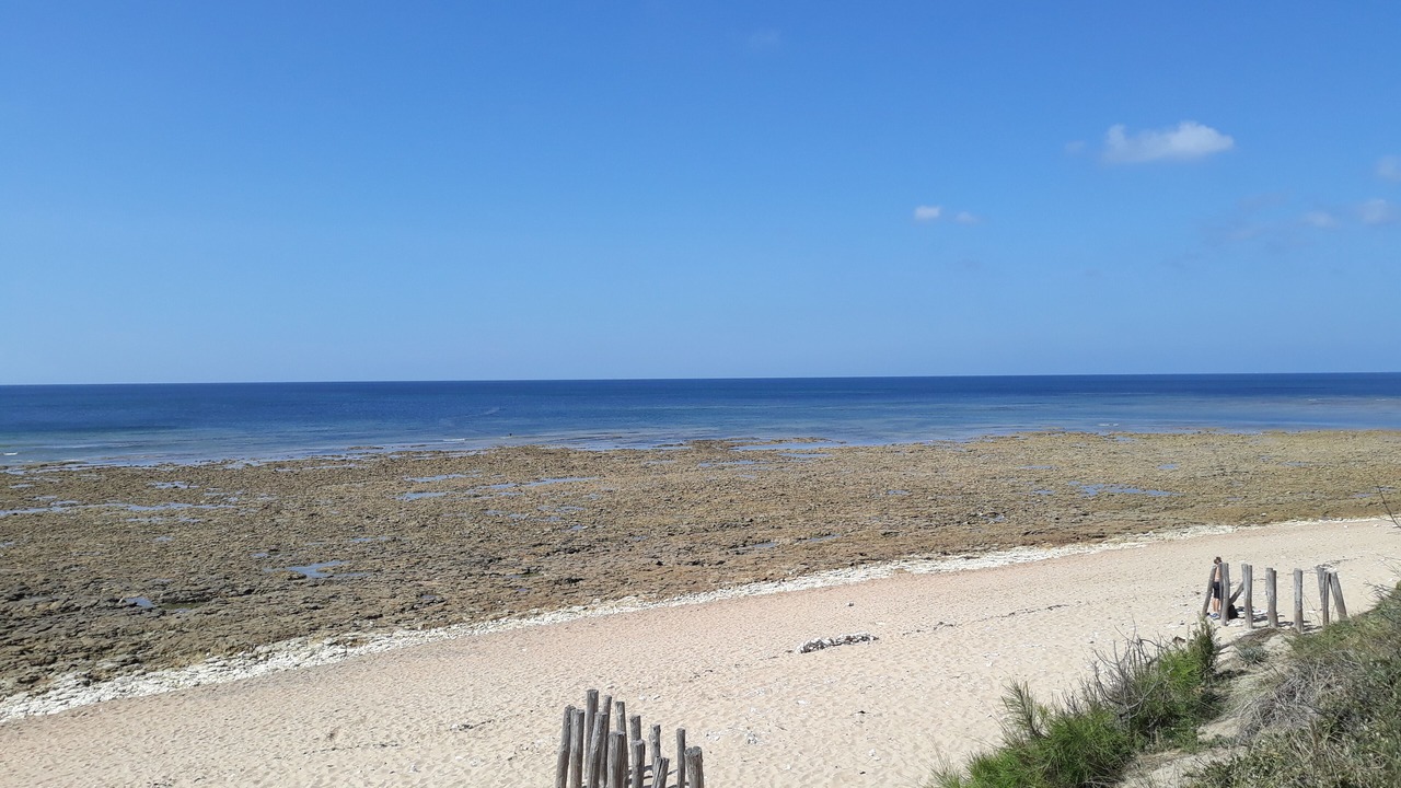 Photo of Others in Le Chateau-d'Oleron