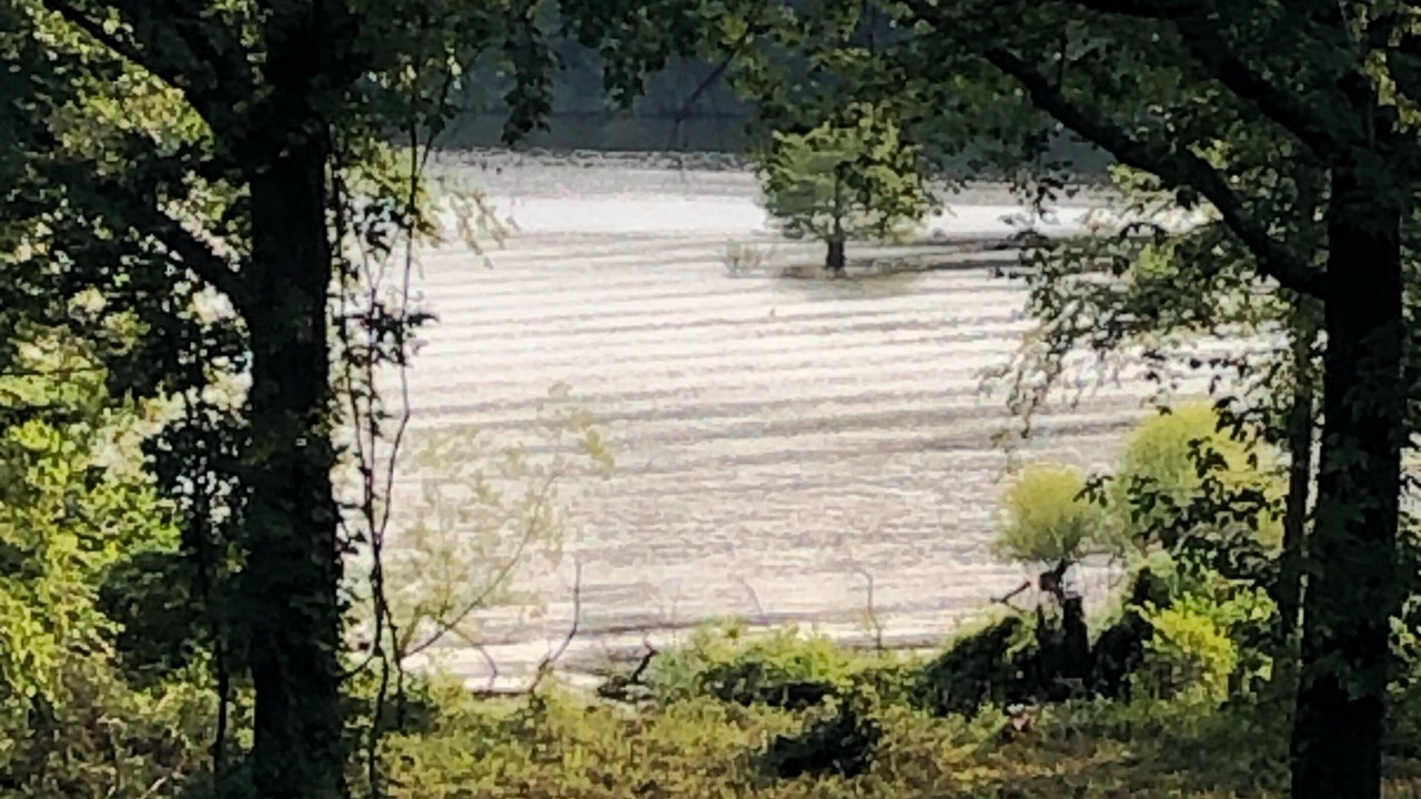 Photo of Outdoor in Benton