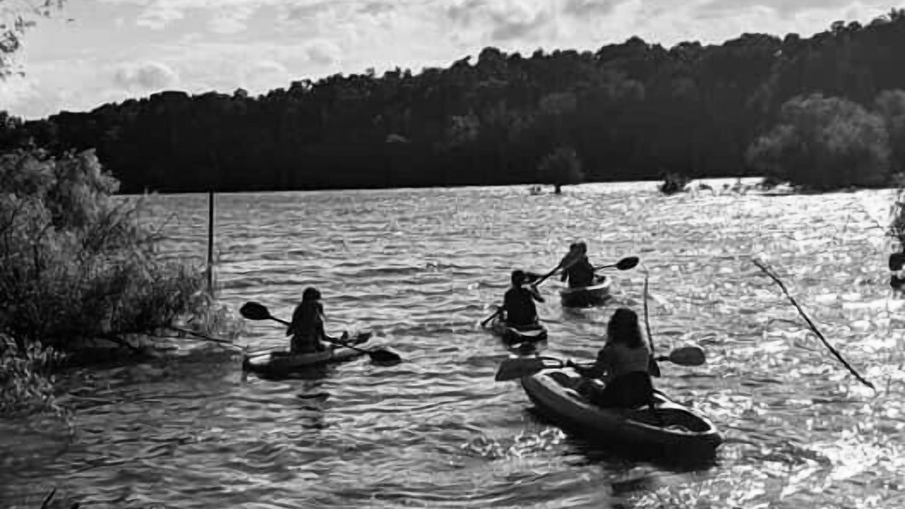 Photo of Others in Benton