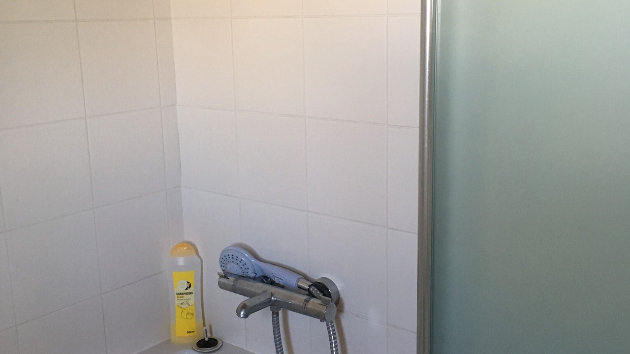 Photo of Bathroom in La Jonchere