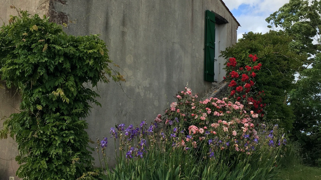 Photo of Outdoor in La Jonchere