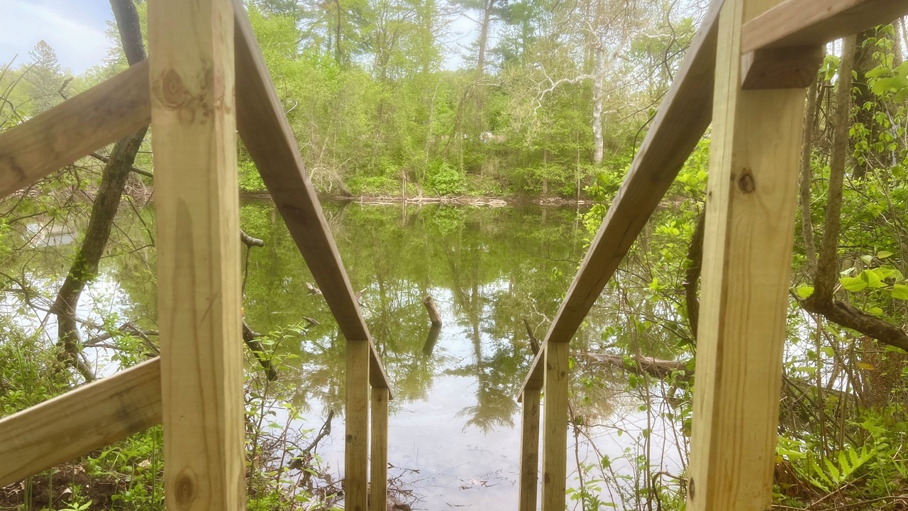 Photo of Outdoor in Mount Marion
