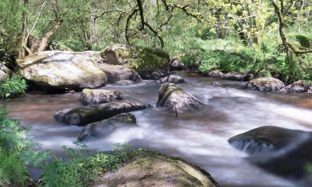 Photo of Outdoor in Moncontour