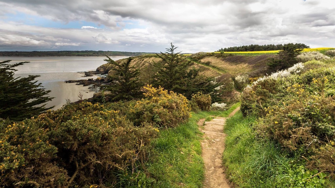 Photo of Others in Moncontour