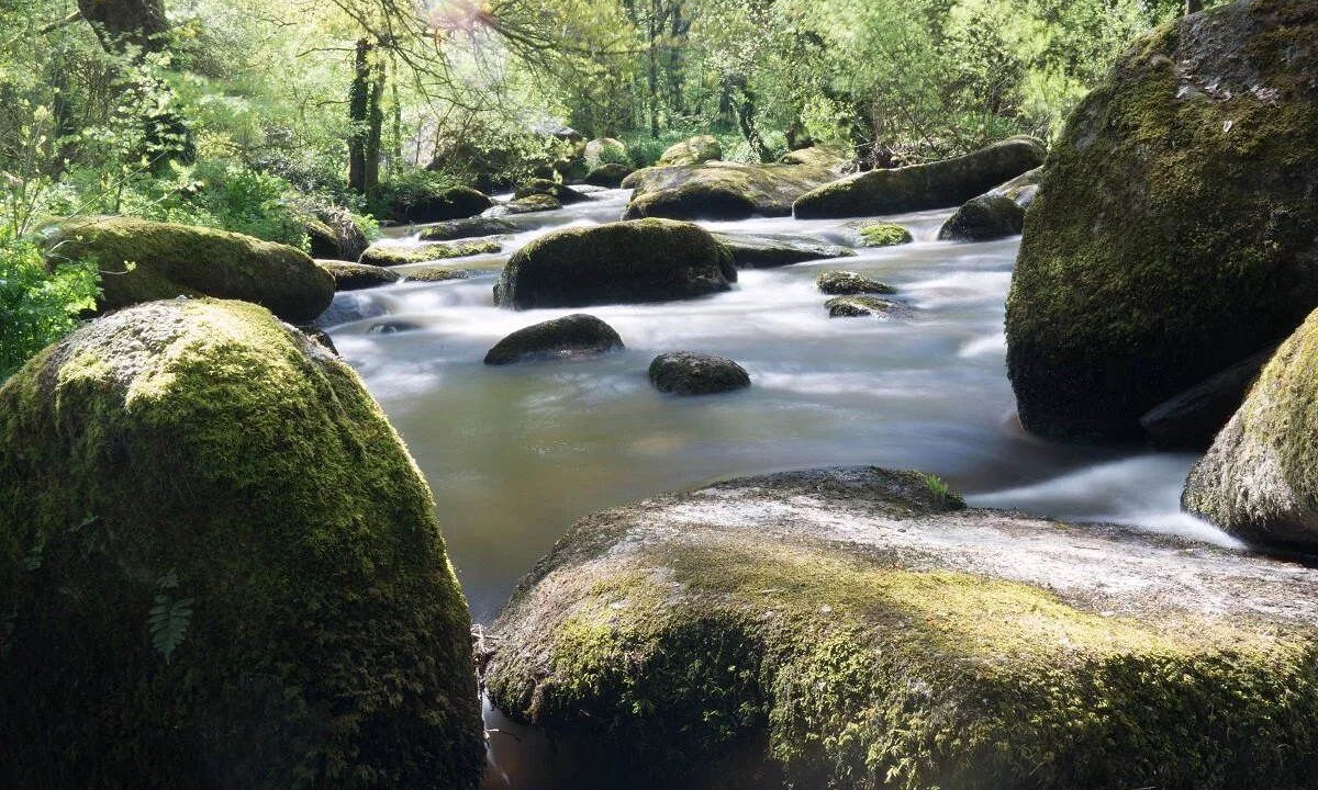 Photo of Others in Moncontour