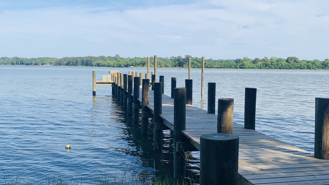 Photo of Outdoor in Davis Wharf