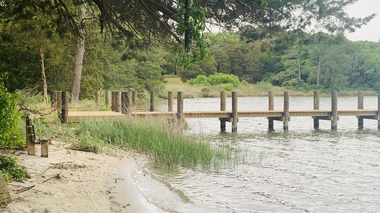 Photo of Outdoor in Davis Wharf