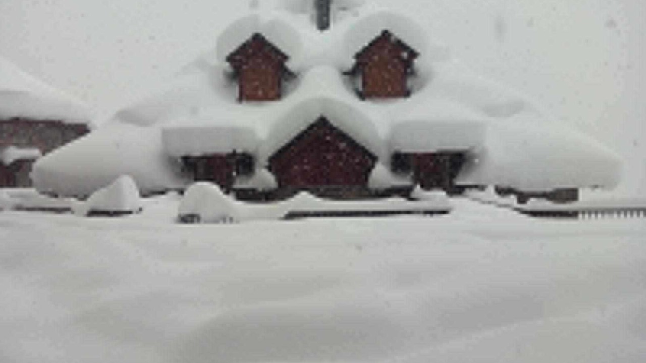 Photo of Outdoor in Escarrilla