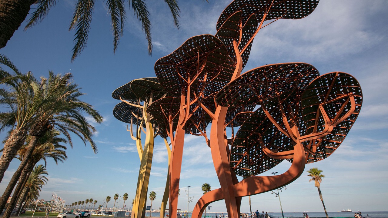 Photo of Others in Cap de Salou