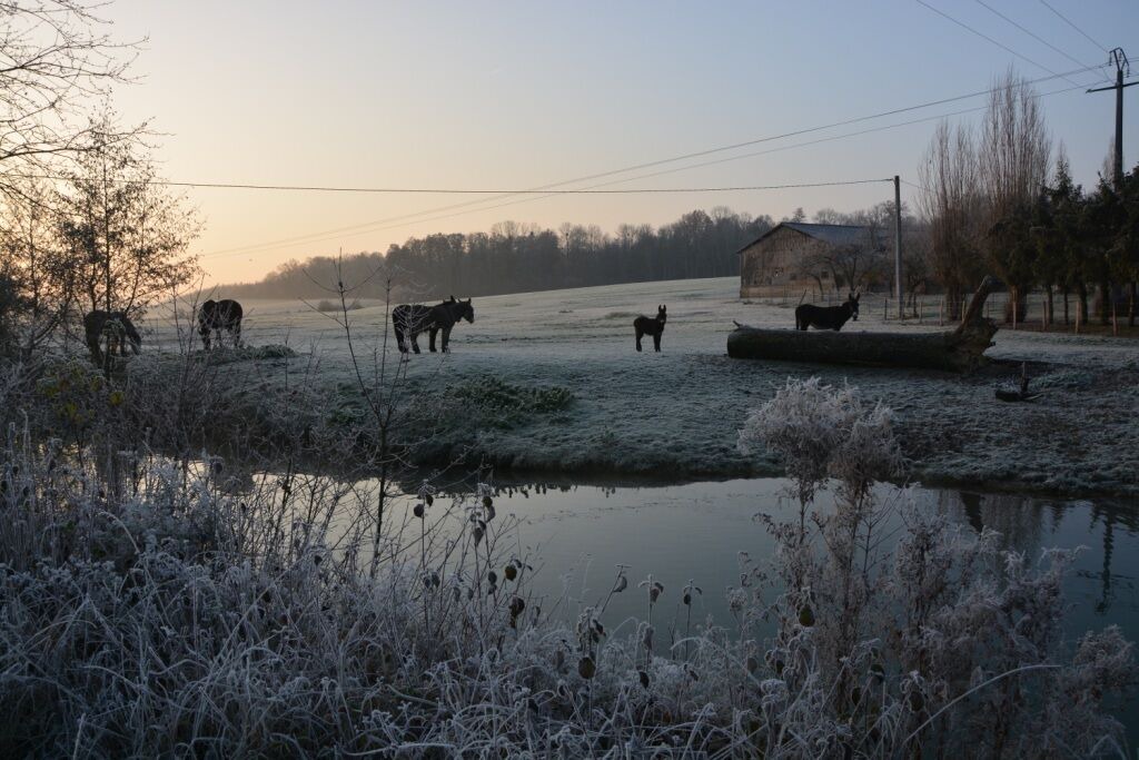 Photo of Others in Louze