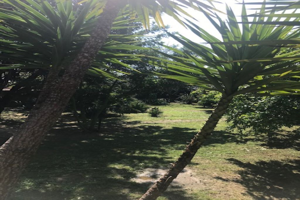 Photo of Outdoor in Bompas
