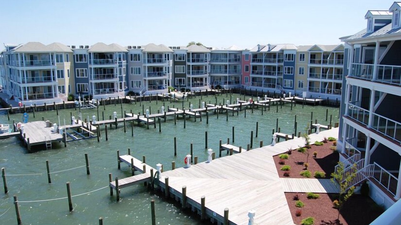 Photo of Others in Chincoteague