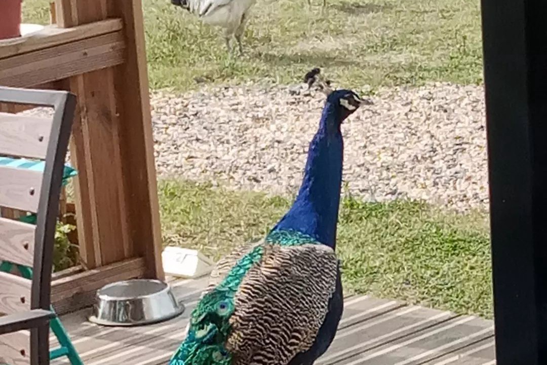 Photo of Outdoor in La Clotte