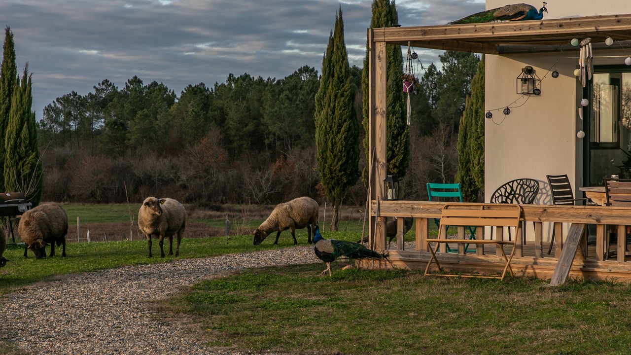 Photo of Outdoor in La Clotte