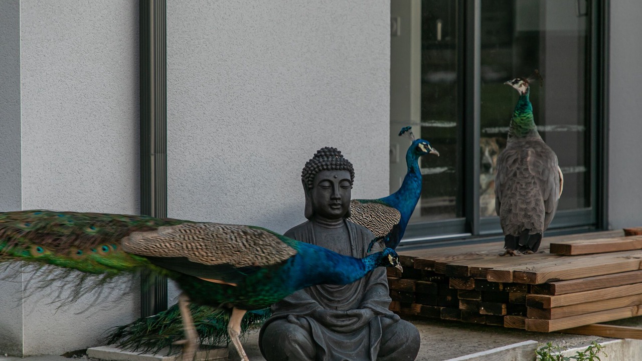 Photo of Outdoor in La Clotte