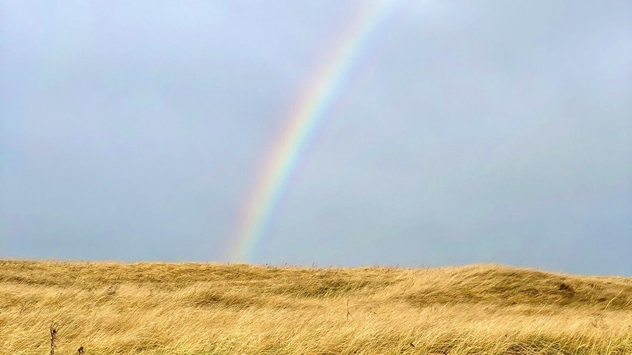 Photo of Outdoor in Sunset Beach