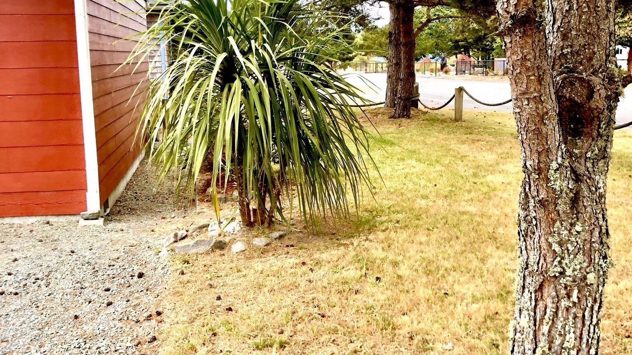 Photo of Others in Sunset Beach