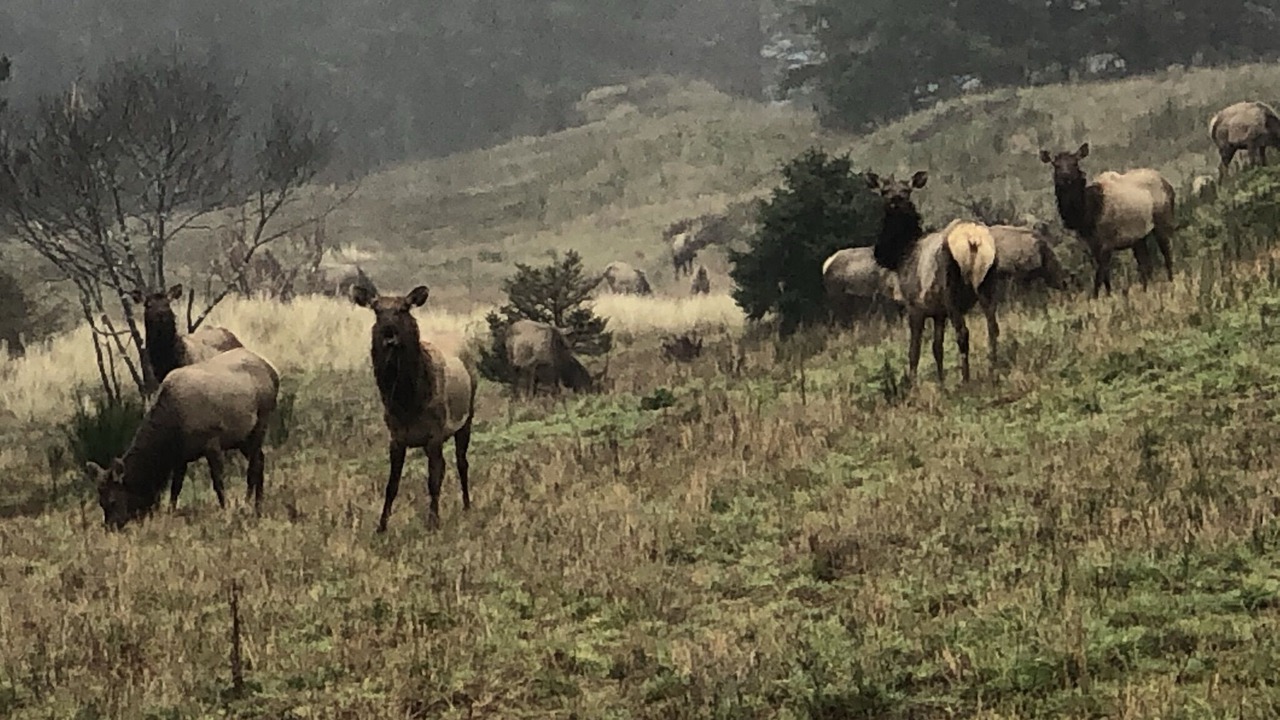 Photo of Outdoor in Sunset Beach