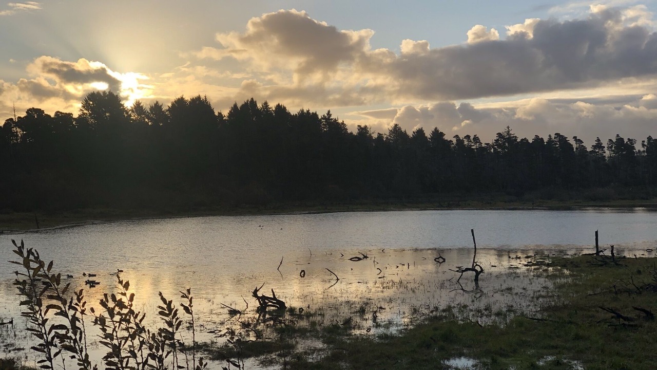 Photo of Outdoor in Sunset Beach