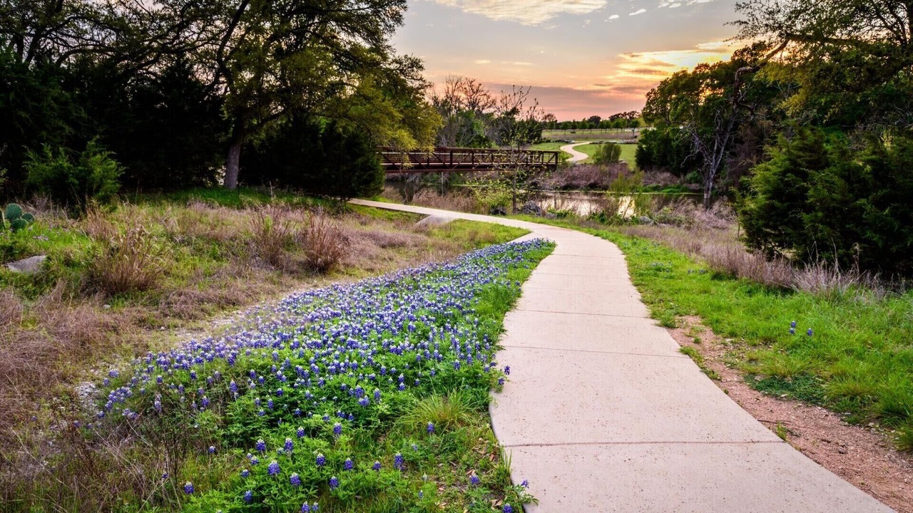Photo of Others in Cedar Park