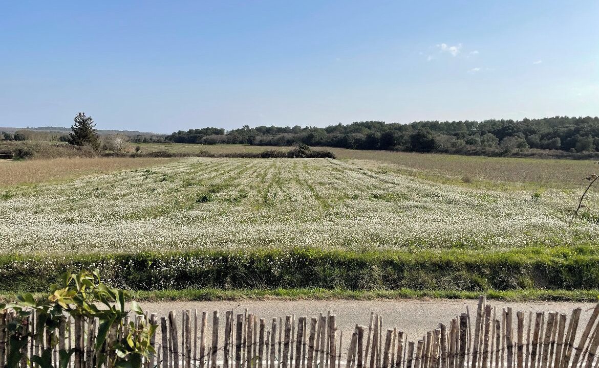 Photo of Others in Castries