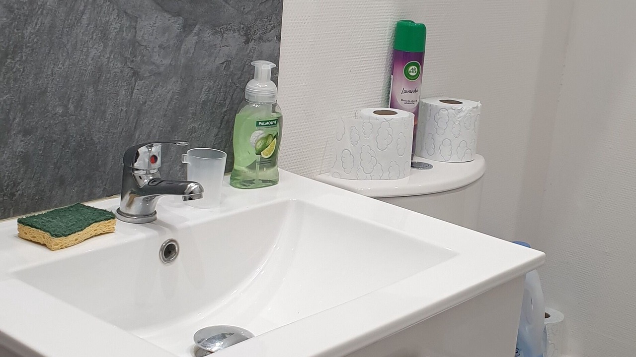 Photo of Bathroom in Beauzelle