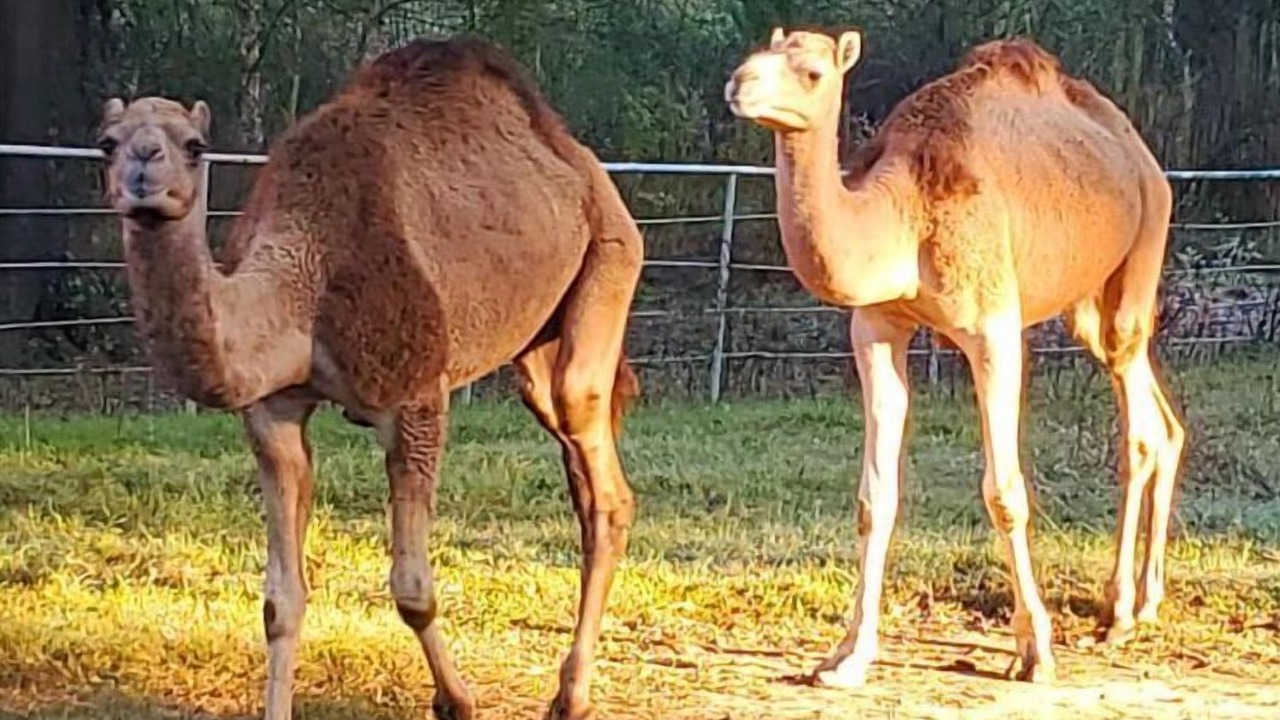 Photo of Outdoor in Big Sandy