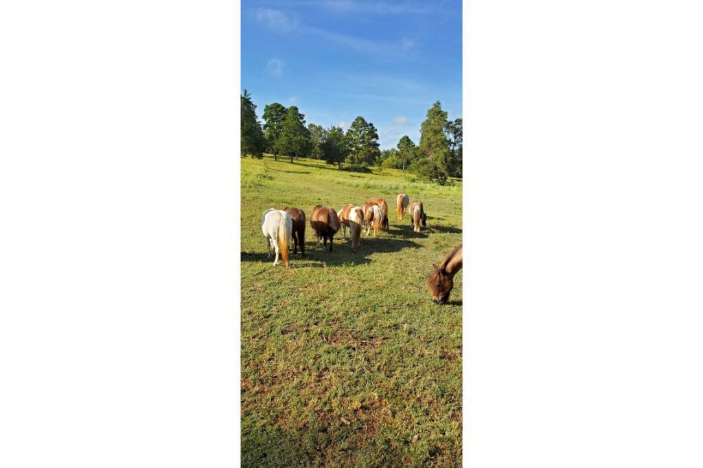 Photo of Outdoor in Big Sandy