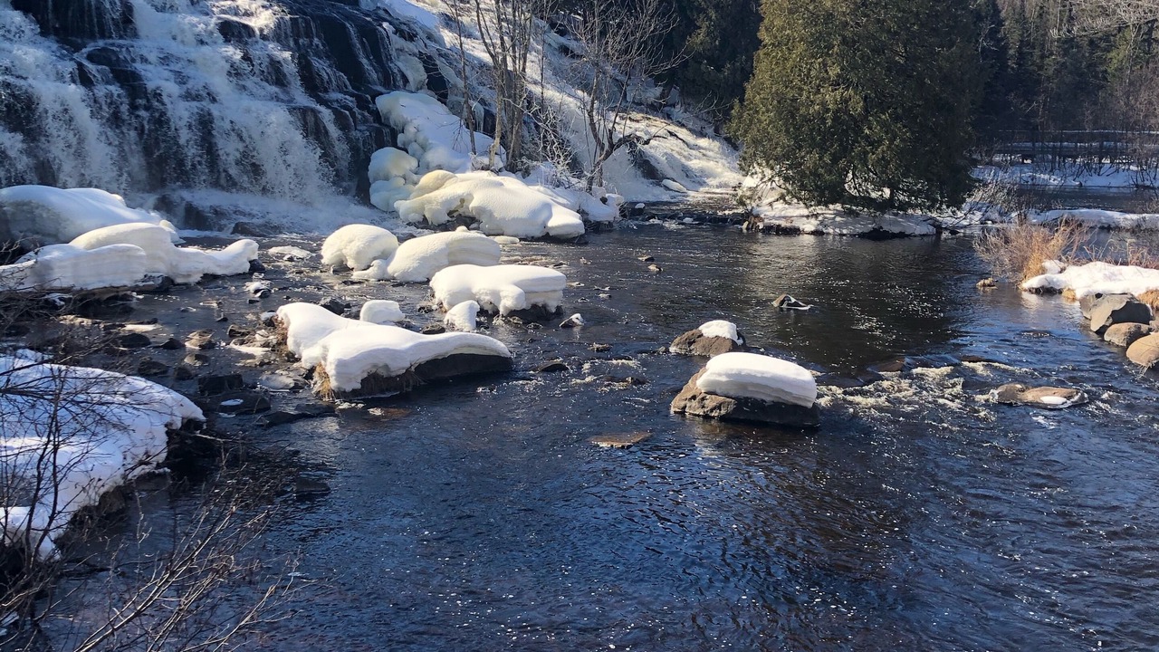 Photo of Others in Land O Lakes