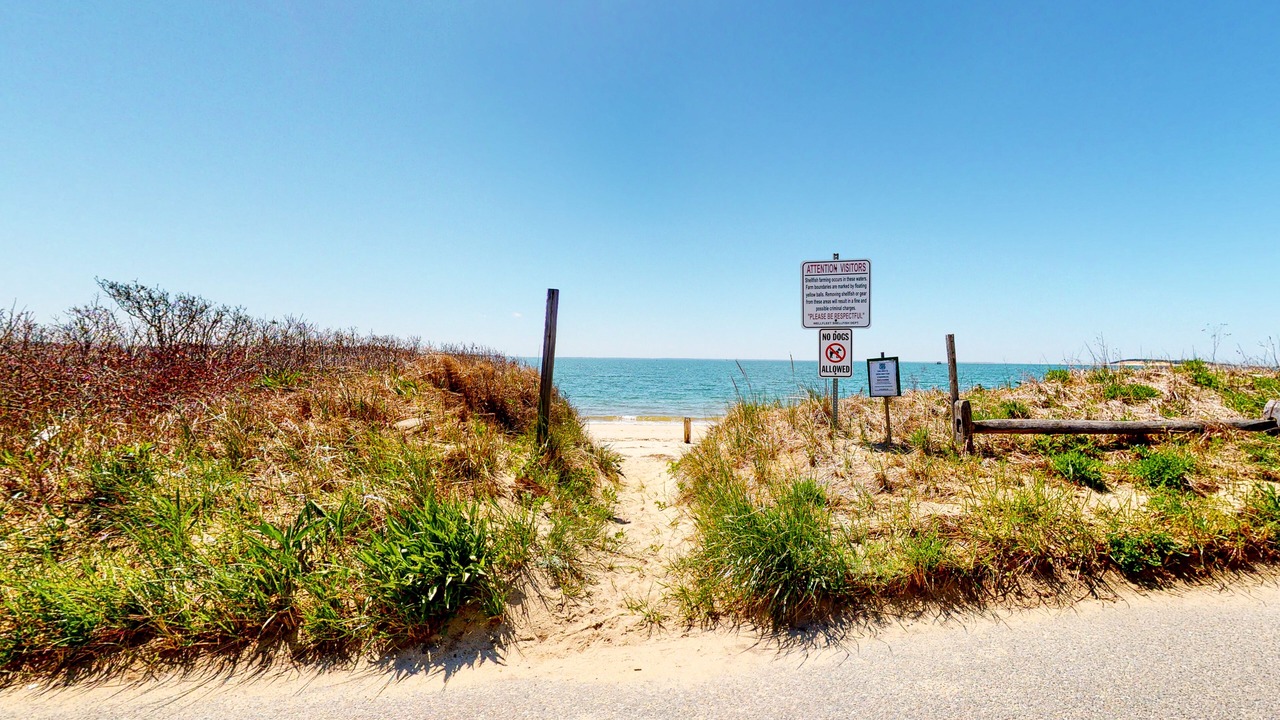Photo of Others in Wellfleet