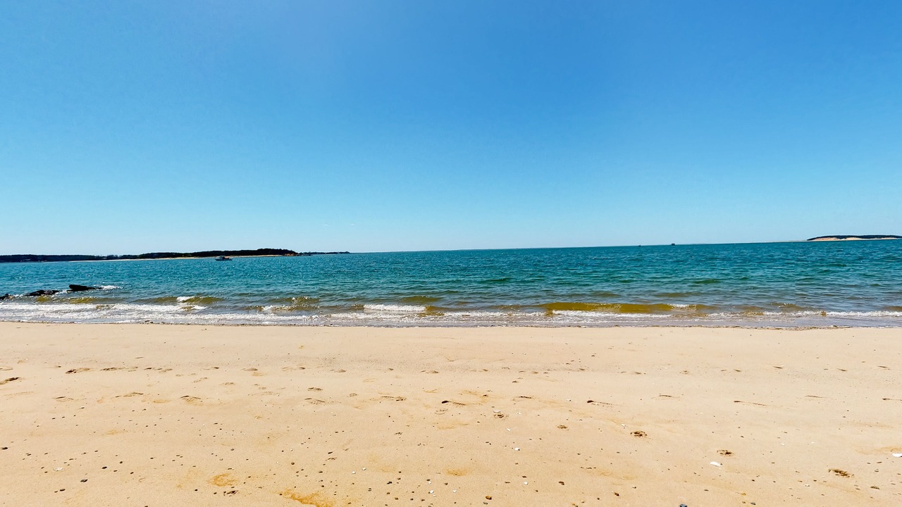 Photo of Others in Wellfleet