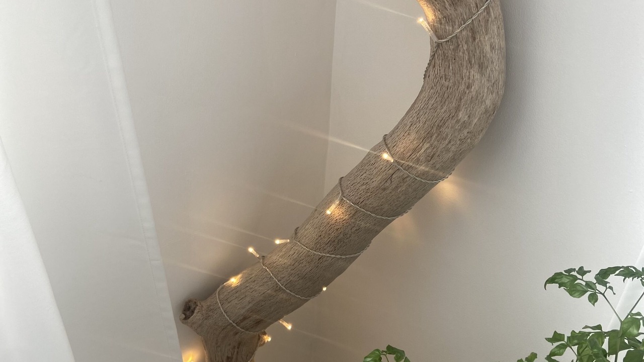 Photo of Others in West Down