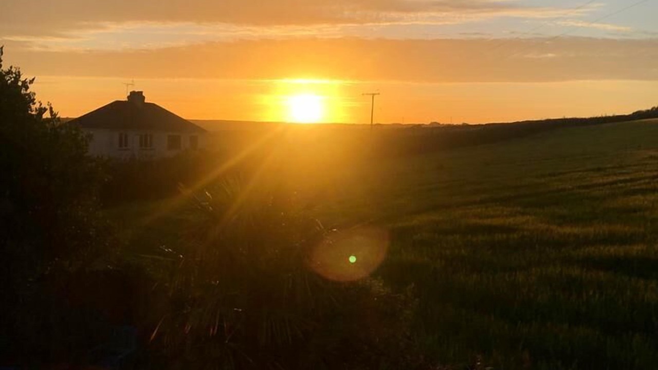 Photo of Others in West Down