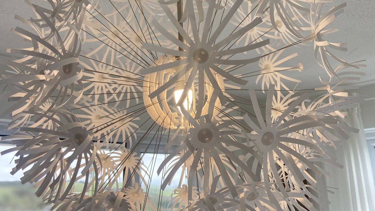 Photo of Others in West Down