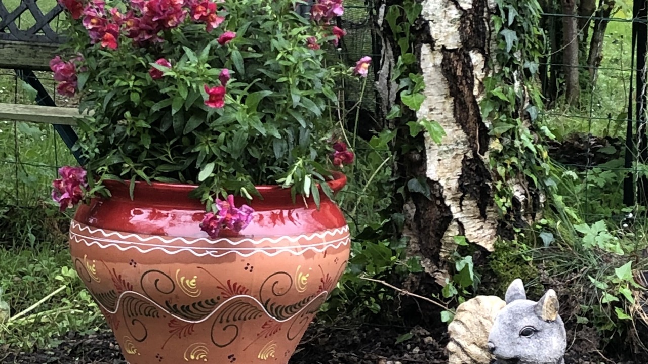 Photo of Outdoor in Fanjeaux