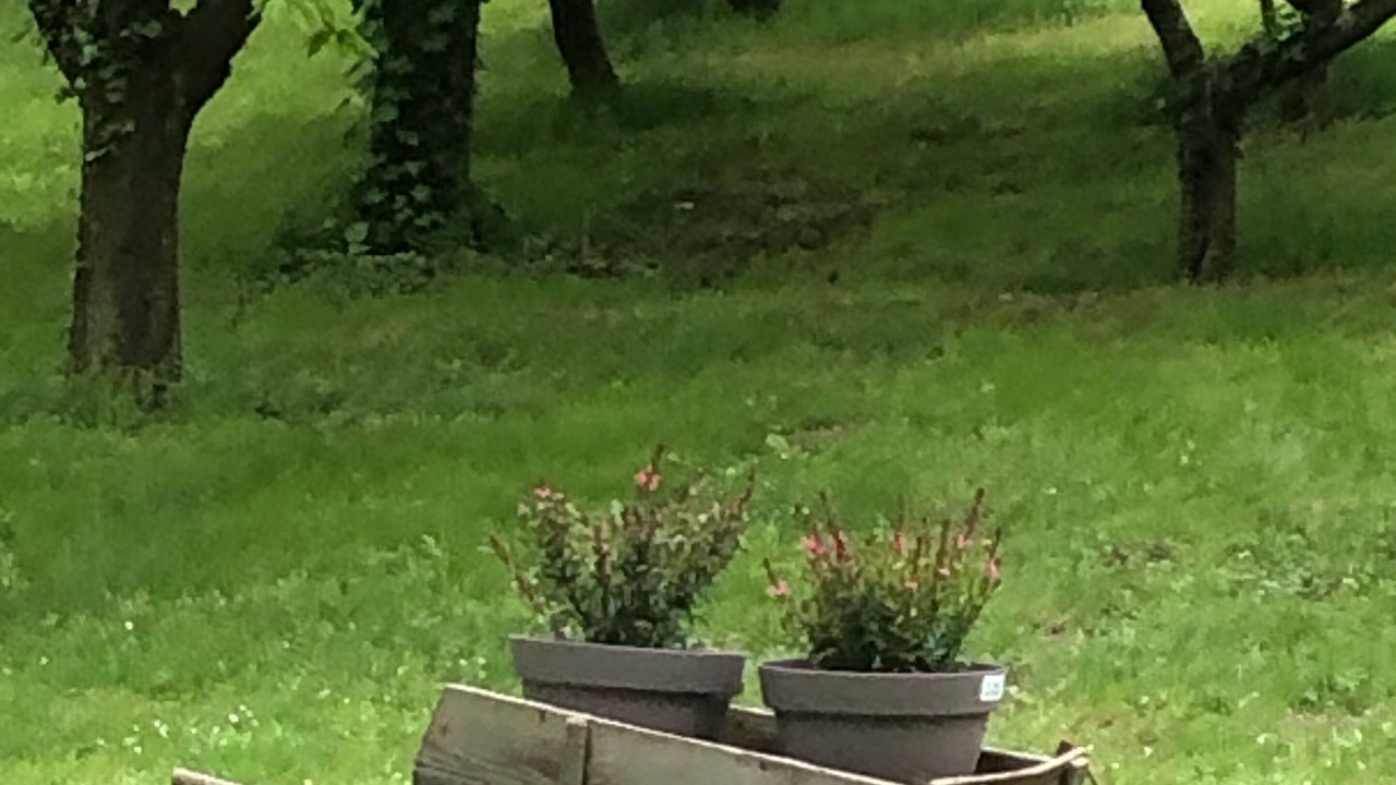 Photo of Outdoor in Fanjeaux