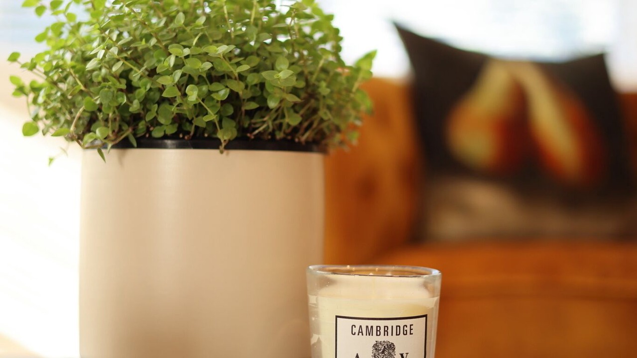 Photo of Others in Cambridge