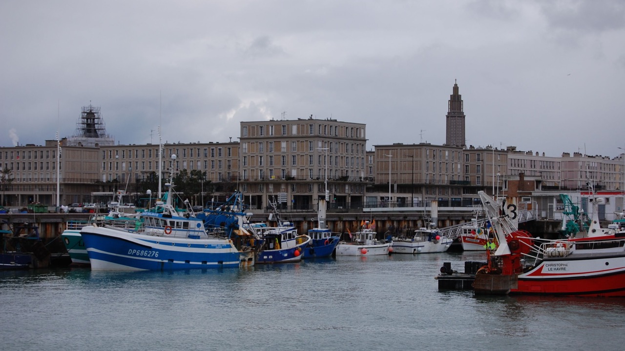 Photo of Others in Downtown Le Havre