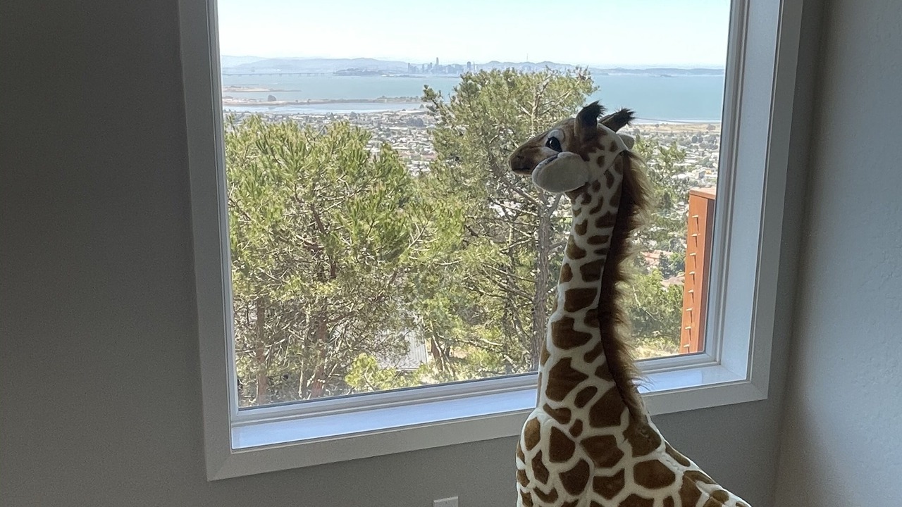 Photo of Others in El Cerrito