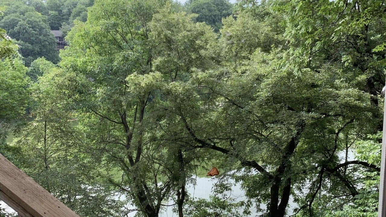 Photo of Outdoor in Edgerton