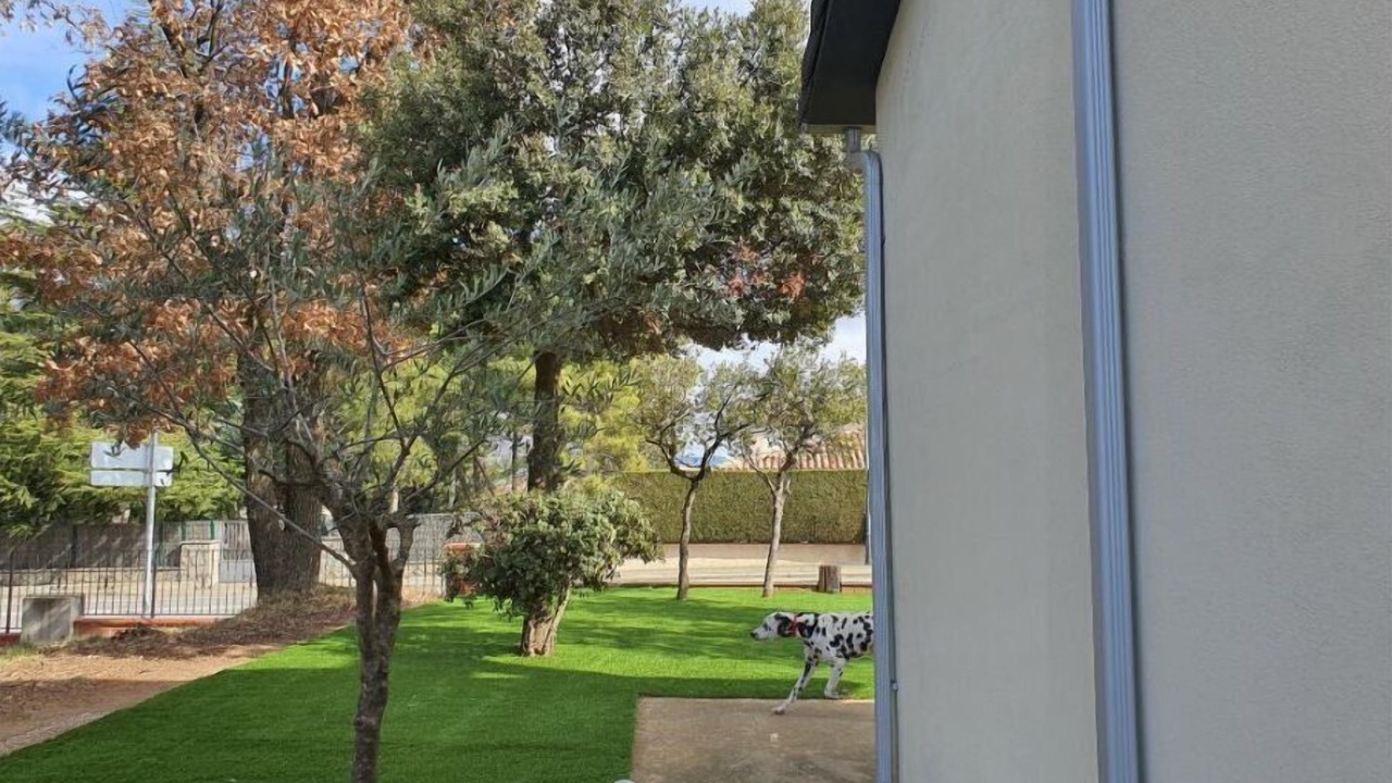 Photo of Outdoor in Olius
