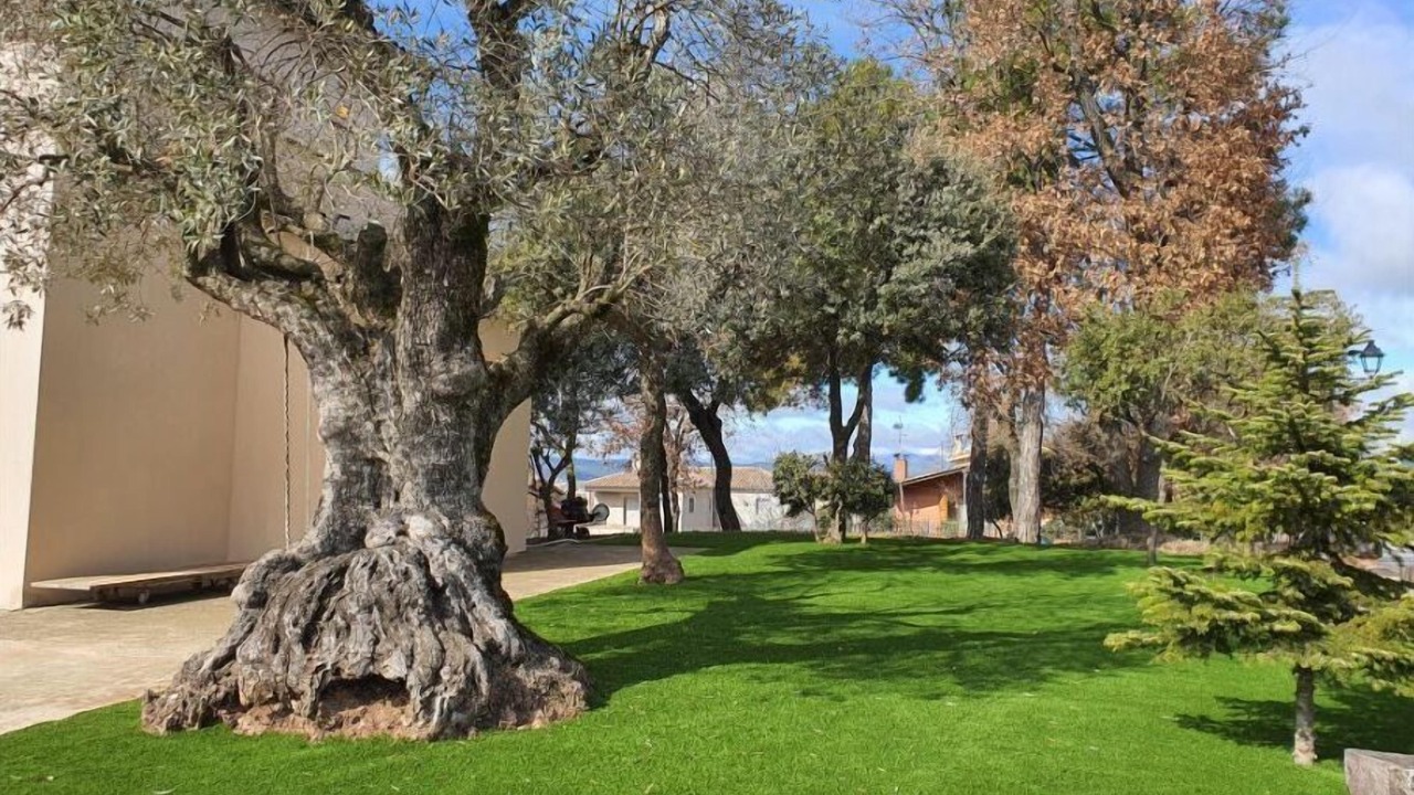 Photo of Outdoor in Olius