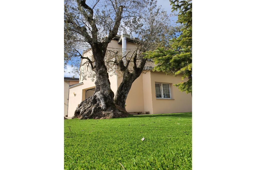 Photo of Outdoor in Olius