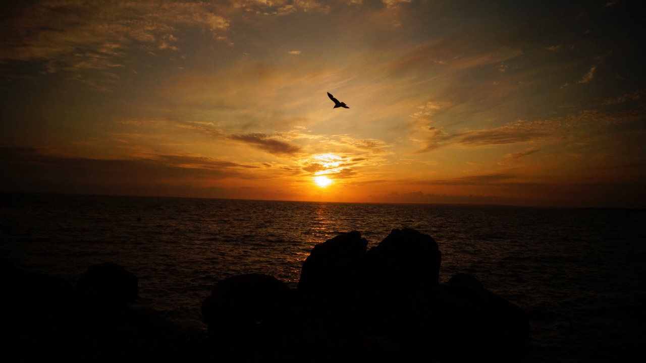 Photo of Others in Trevignon