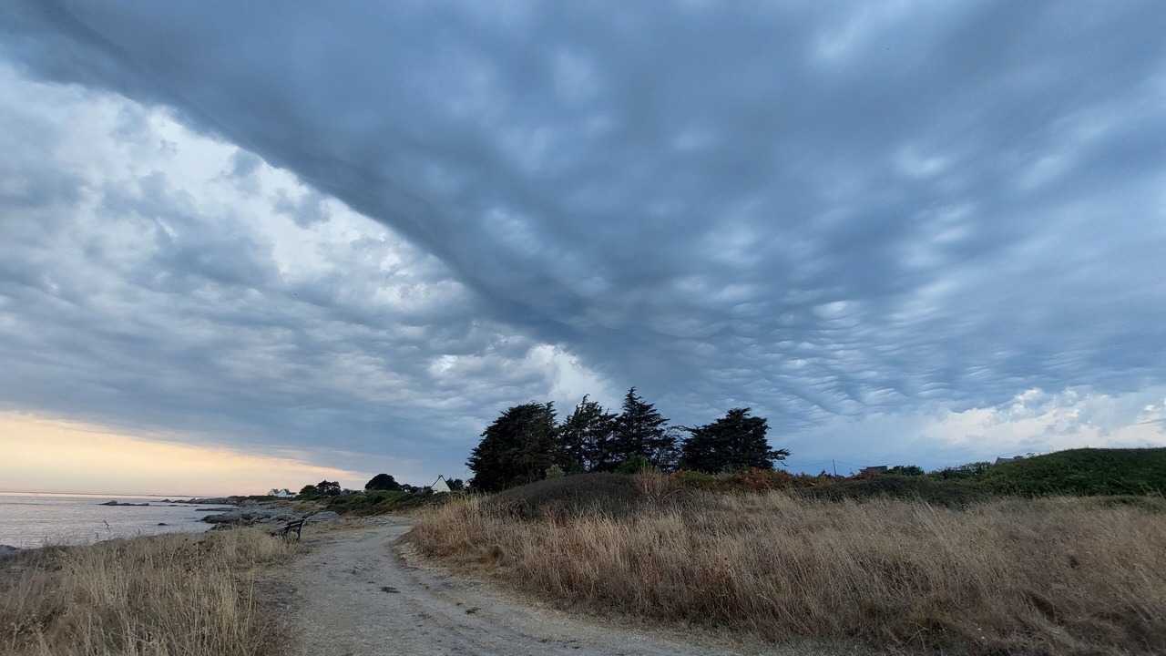 Photo of Others in Trevignon