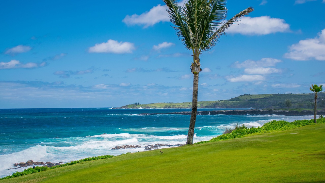 Photo of Others in Napili