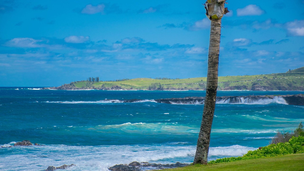 Photo of Others in Napili